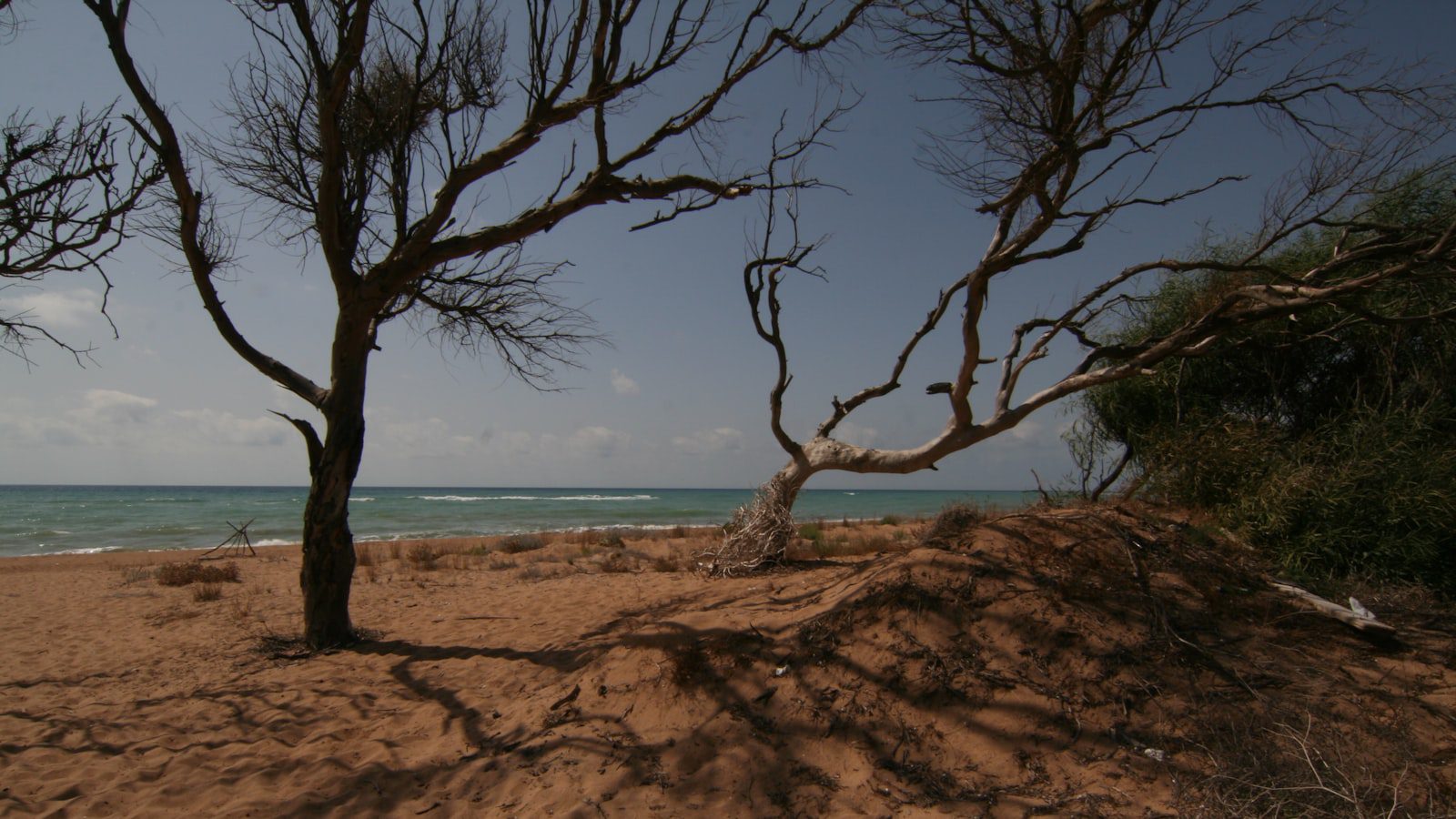 Sumérgete en la historia y la cultura de Belice